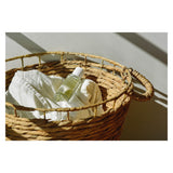 Bottle of Abel LaundryDay EDP