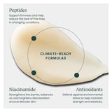 Atmosphera FORTIFY EYE™ - Restorative Eye Cream Texture/Information