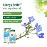 Bell Allergy Relief™ Main Ingredients