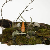 Boreal Folk Labradour Tea Vitamin C Serum Lifestyle