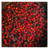 Boreal Folk Rosehip Toner Ingredient - Rosehips
