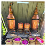 Boreal Folk Wild Rose Toner Ingredients