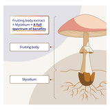 CanPrev Mushrooms Parts
