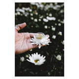 CommunionBotanicals BotanicalRepairBalm with Flowers