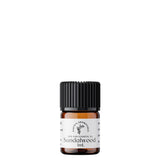 Bottle of Earth's Aromatique Sandalwood Essential Oil 1 mL