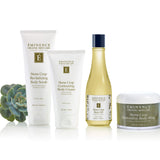Eminence StoneCrop BodyCollection GroupPhoto