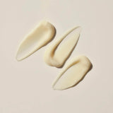 Manuka Health Eternal Renewal Regenerating Face Cream Texture