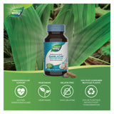 Nature's Way Garlicin Information