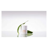 Three Ships Dream Bio-Retinol + Shorea Butter Night Cream Ingredients