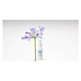 Three Ships Skin Hero Bakuchiol + Calendula Bio-Retinol Serum Ingredients