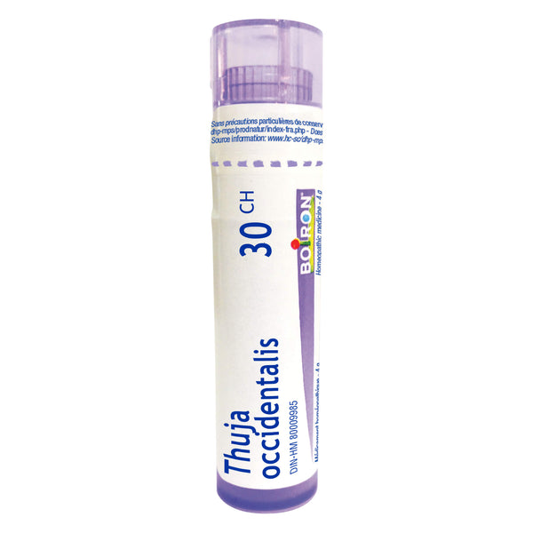 Tube of Boiron ThujaOccidentalis 30CH 80Pellets