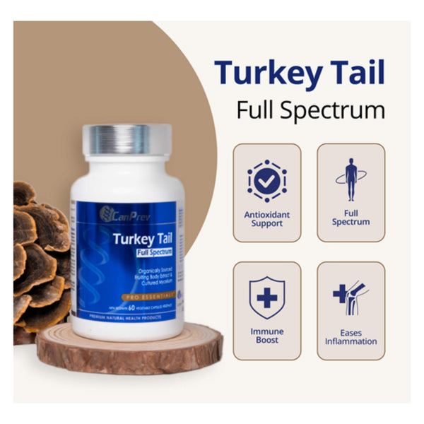 CanPrev Turkey Tail Full Spectrum Information
