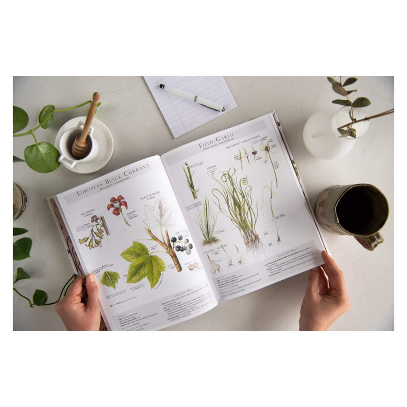 Foraging&Feasting Sample of OpenBook1
