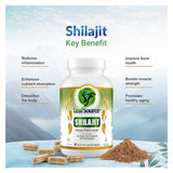 LeafSource® Shilajit - Humic-Fulvic Acids Benefits

