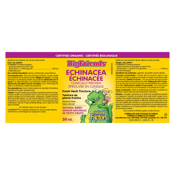 Natural Factors Big Friends Echinacea No Alcohol Tincture Label
