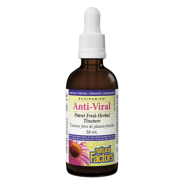 Dropper Bottle of Natural Factors Echinamide Anti-Viral Potent Fresh Herbal Tincture 50ml
