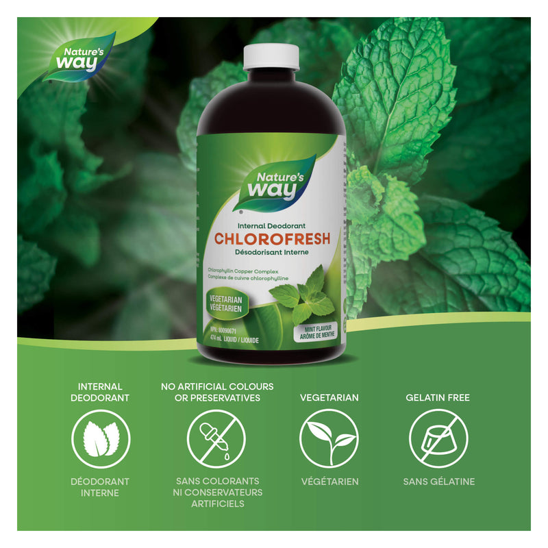 Nature's Way Chlorofresh Mint Flavour Information 
