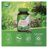Nature's Way European Elderberry Information 
