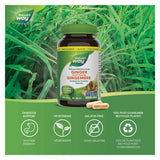Nature's Way Ginger Root Information 
