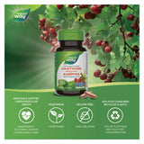 Nature's Way Hawthorn Berries Information
