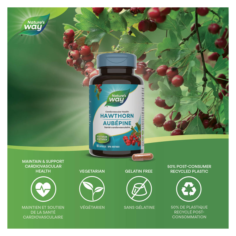 Nature's Way Hawthorn Standardized Extract Information 
