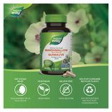 Nature's Way Marshmallow Root Information 
