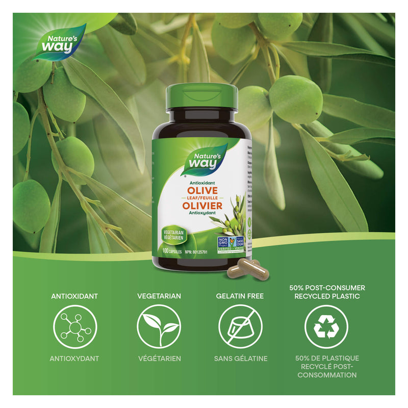 Nature's Way Olive Leaf Information 
