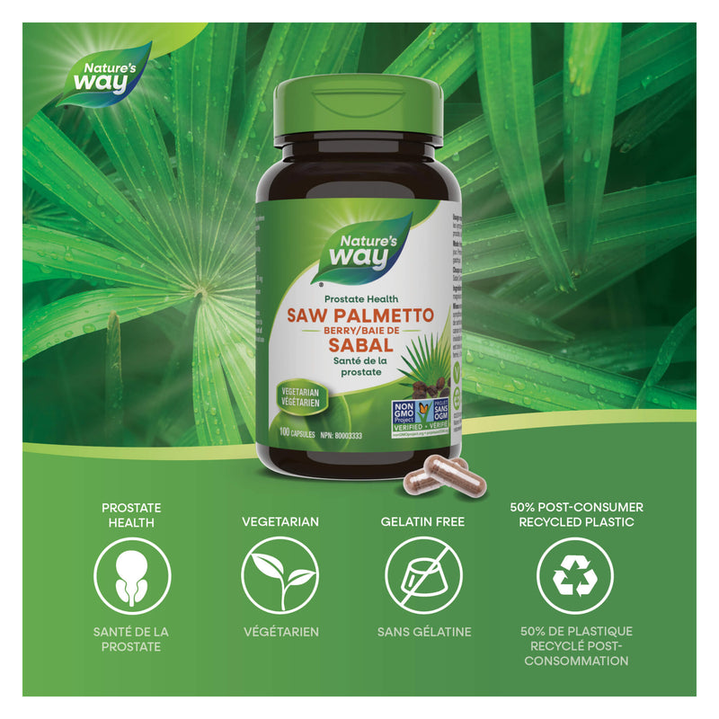Nature's Way Saw Palmetto Berry Information 
