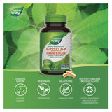 Nature's Way Slippery Elm Bark Information 

