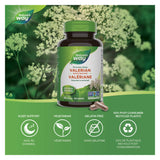 Nature's Way Valerian Root Information 

