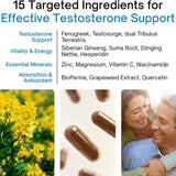 SYNERGY HOLISTICS® TEST Synergy Ingredients
