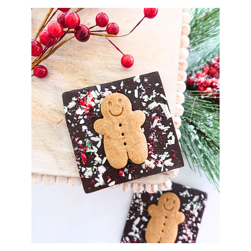 Succulent Chocolates & Sweets Inc Fancy Bar: Gingerbread Frost Lifestyle
