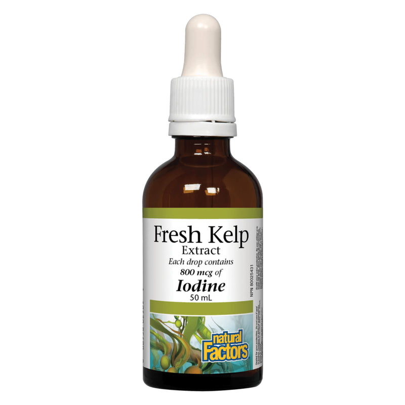 Dropper Bottle of Natural Factors Fresh Kelp Extract 50 MIlliliters