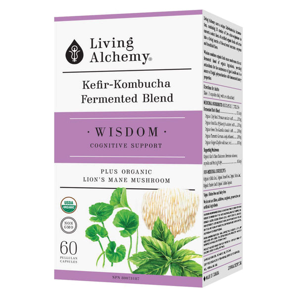 Box of Living Alchemy Kefir-Kombucha Fermented Blend Wisdom Cognitive Support 60 Pullulan Capsules | Optimum Health Vitamins, Canada