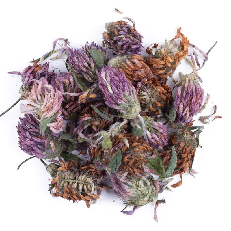 Earth's Aromatique - Red Clover Blossoms | Optimum Health Vitamins, Canada